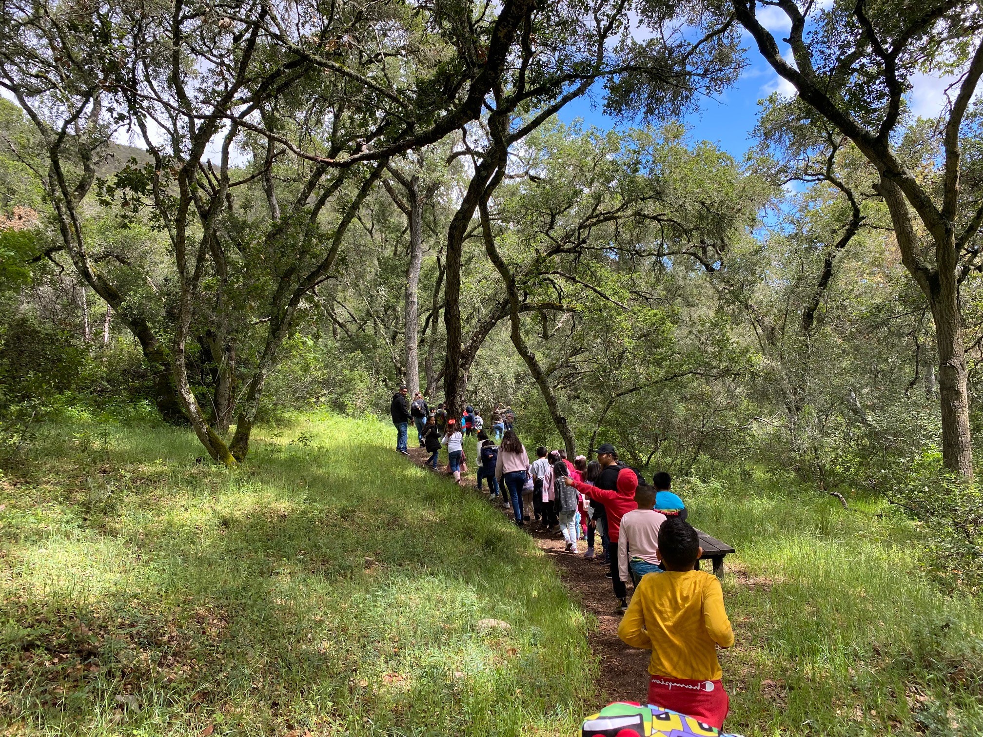students walking on trail